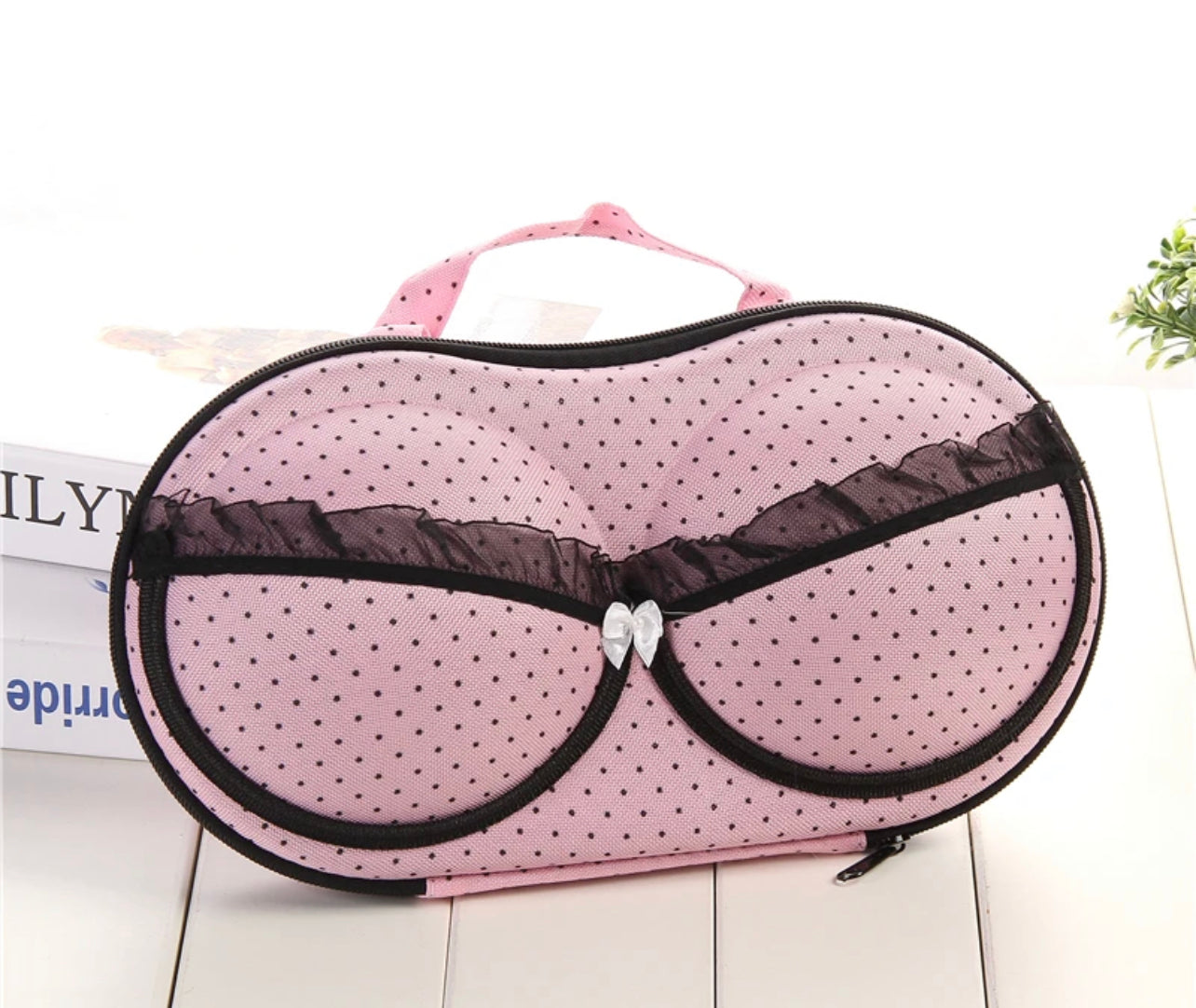 Bra Storage Bag